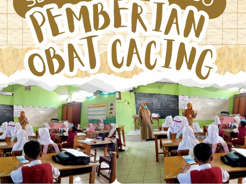Pemberian Obat Cacing